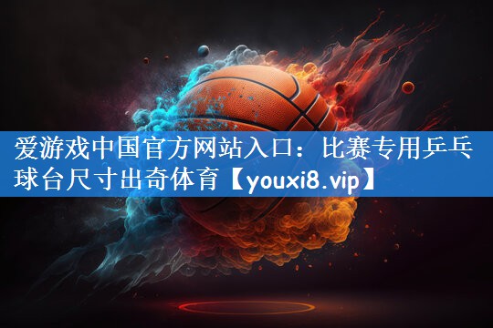 爱游戏中国官方网站入口:比赛专用乒乓球台尺寸出奇体育