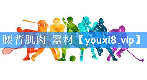 腰背肌肉 器材
