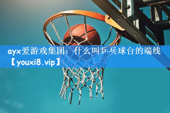 什么叫乒乓球台的端线